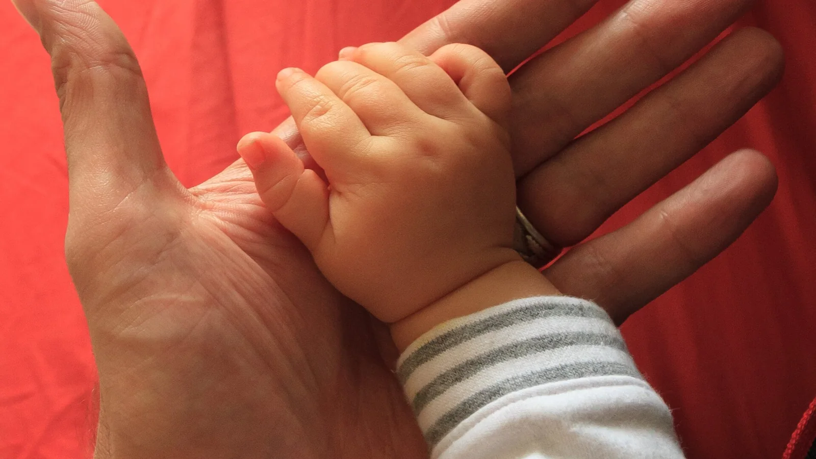 Main d’un enfant posée dans celle d’un adulte portant une alliance